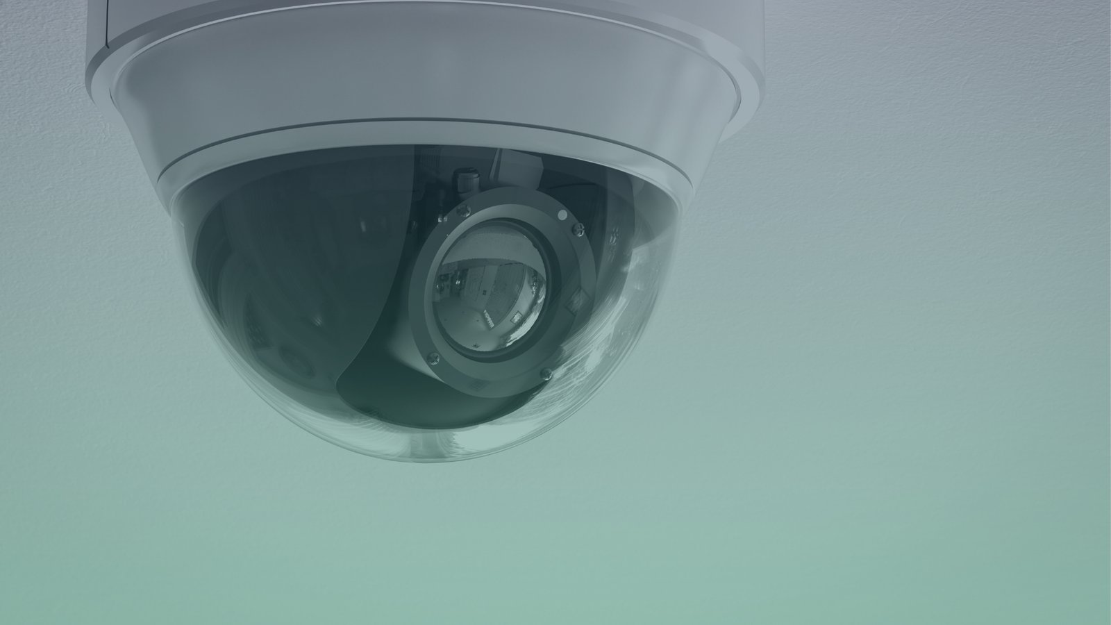 Seguridad Física Zynaxis
